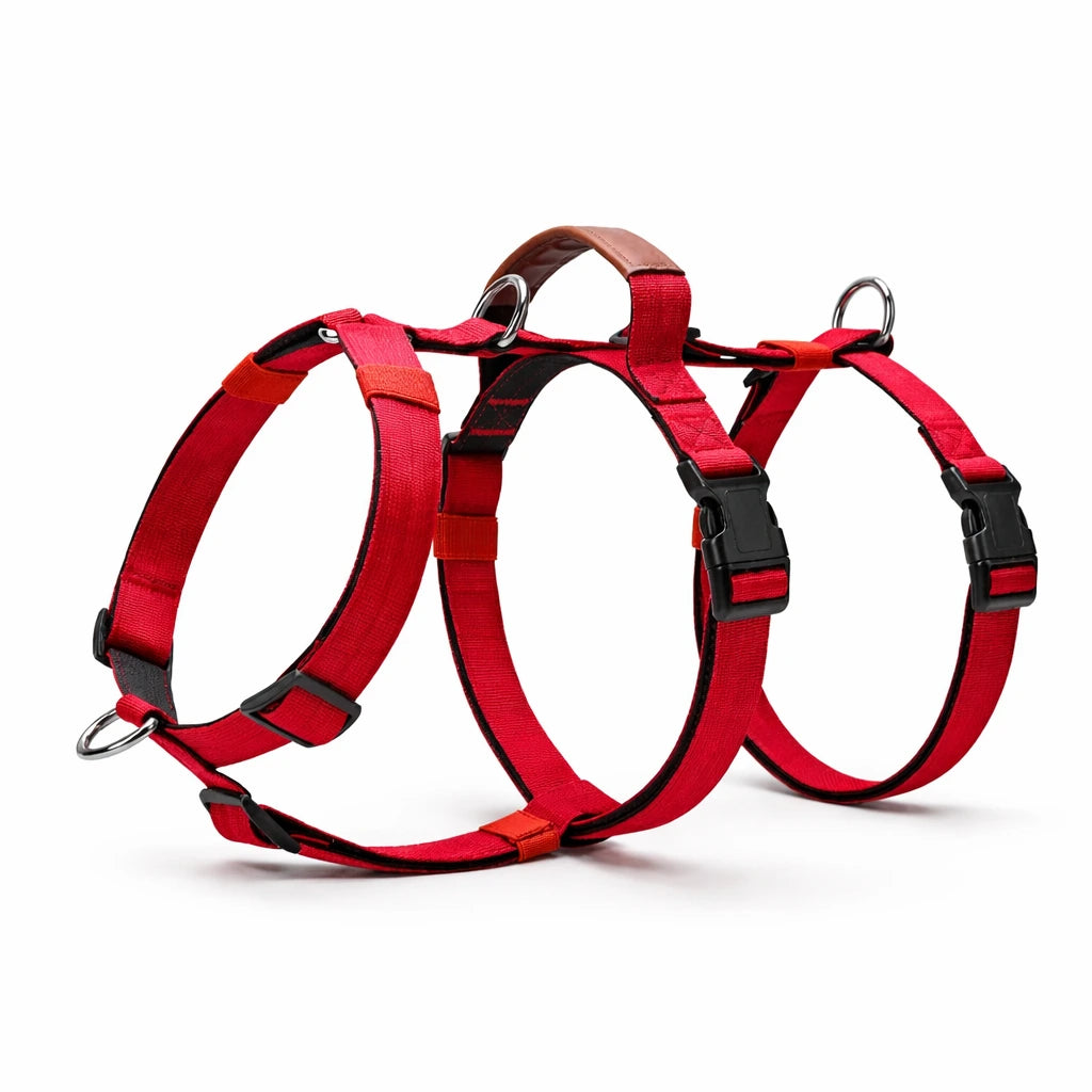 AEONRO Sentinel Harness