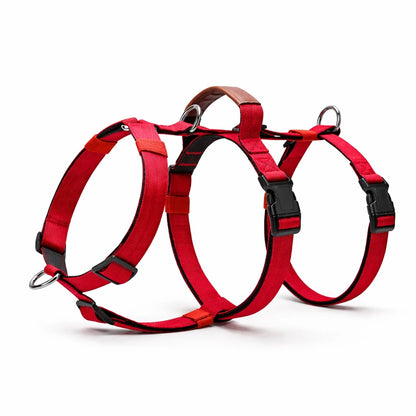 AEONRO Sentinel Harness