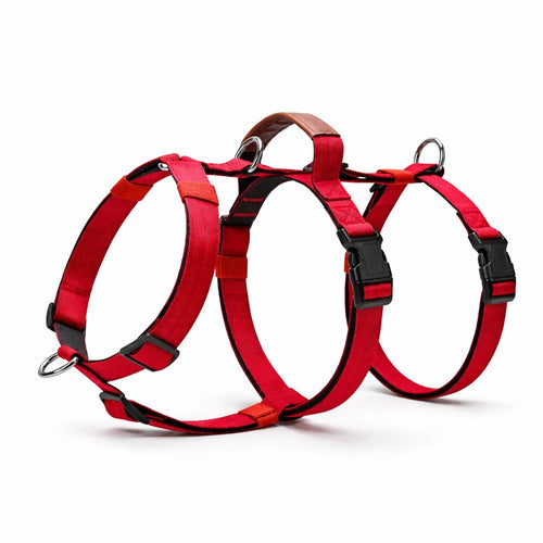 AEONRO Sentinel Harness