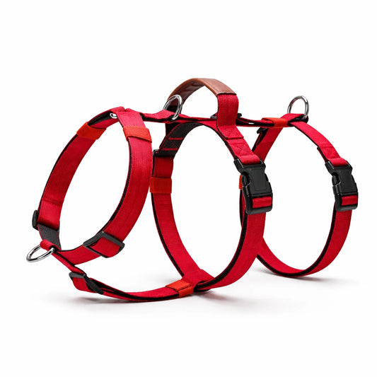 AEONRO Sentinel Harness