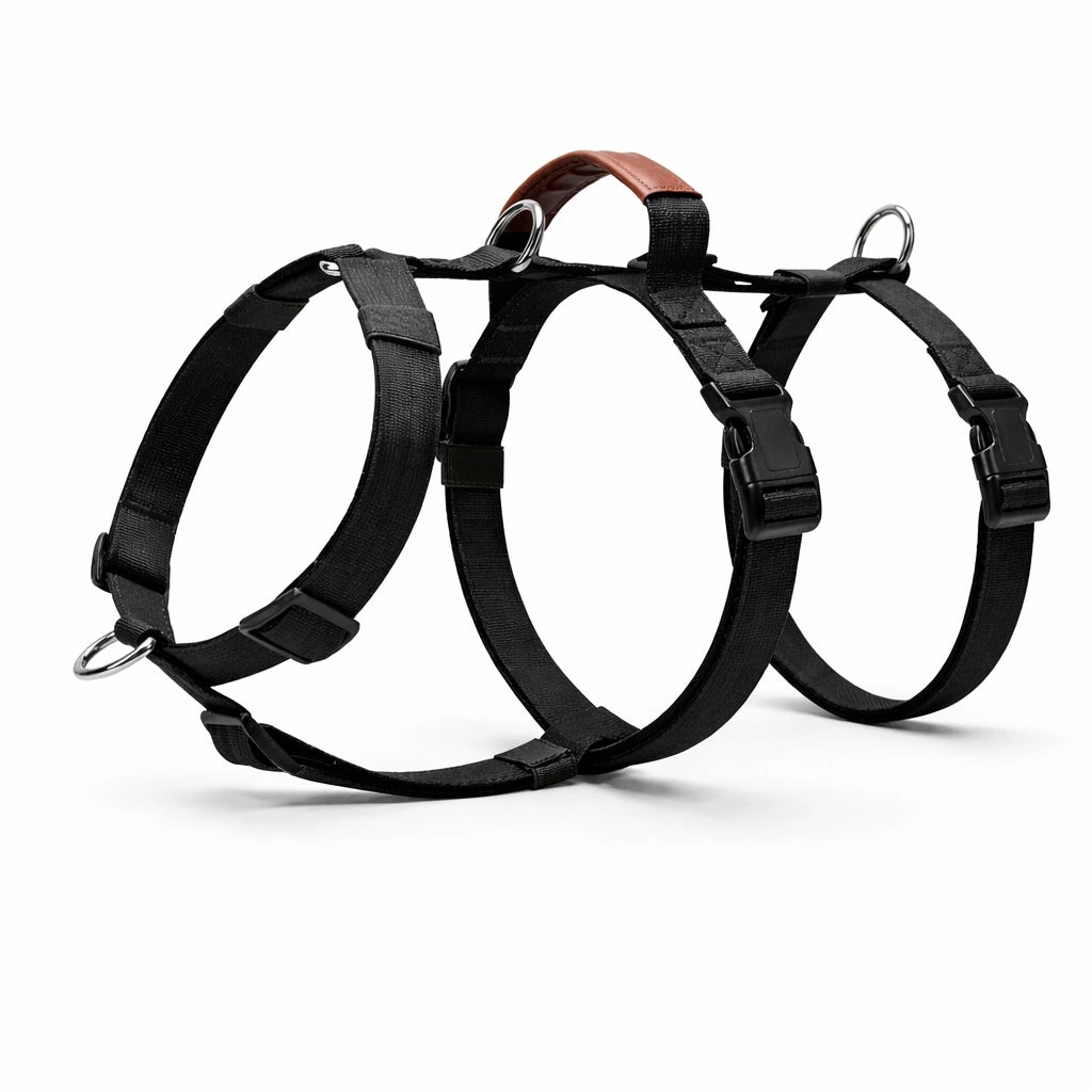 AEONRO Sentinel Harness