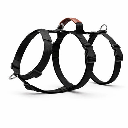 AEONRO Sentinel Harness