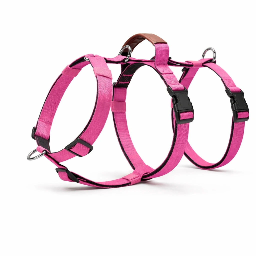 AEONRO Sentinel Harness