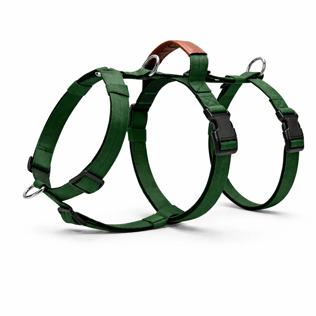 AEONRO Sentinel Harness