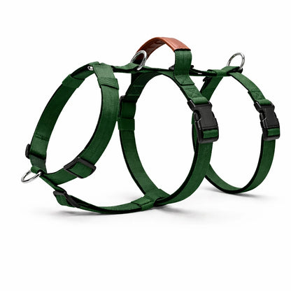 AEONRO Sentinel Harness