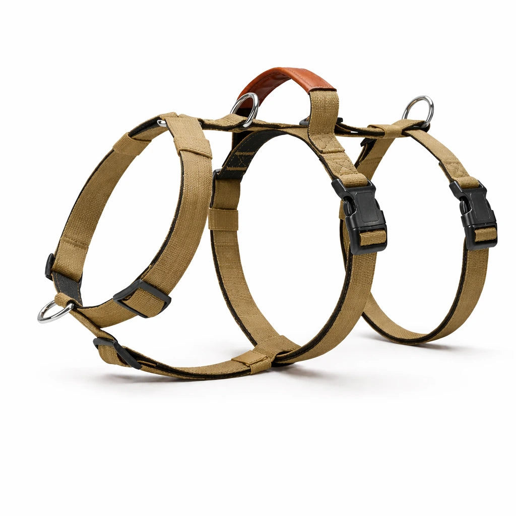 AEONRO Sentinel Harness