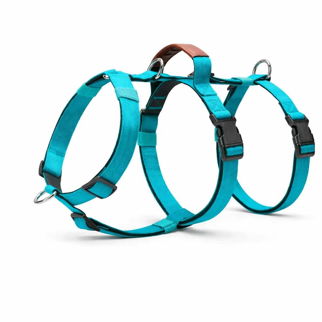 AEONRO Sentinel Harness