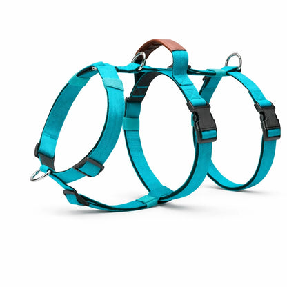 AEONRO Sentinel Harness