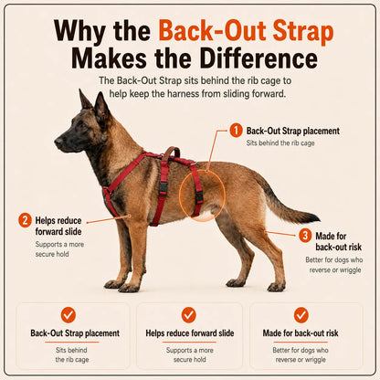 FlowGuard™ Escape-Proof Harness
