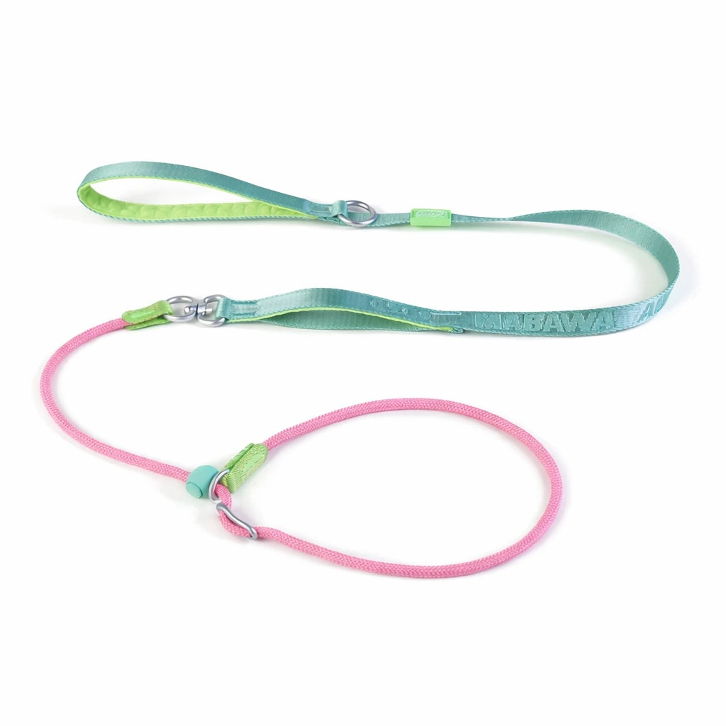 AEONRO Command Slip Leash