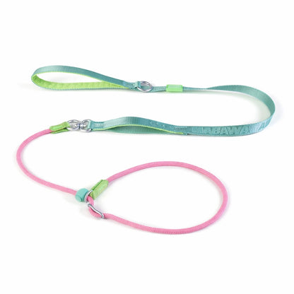 AEONRO Command Slip Leash