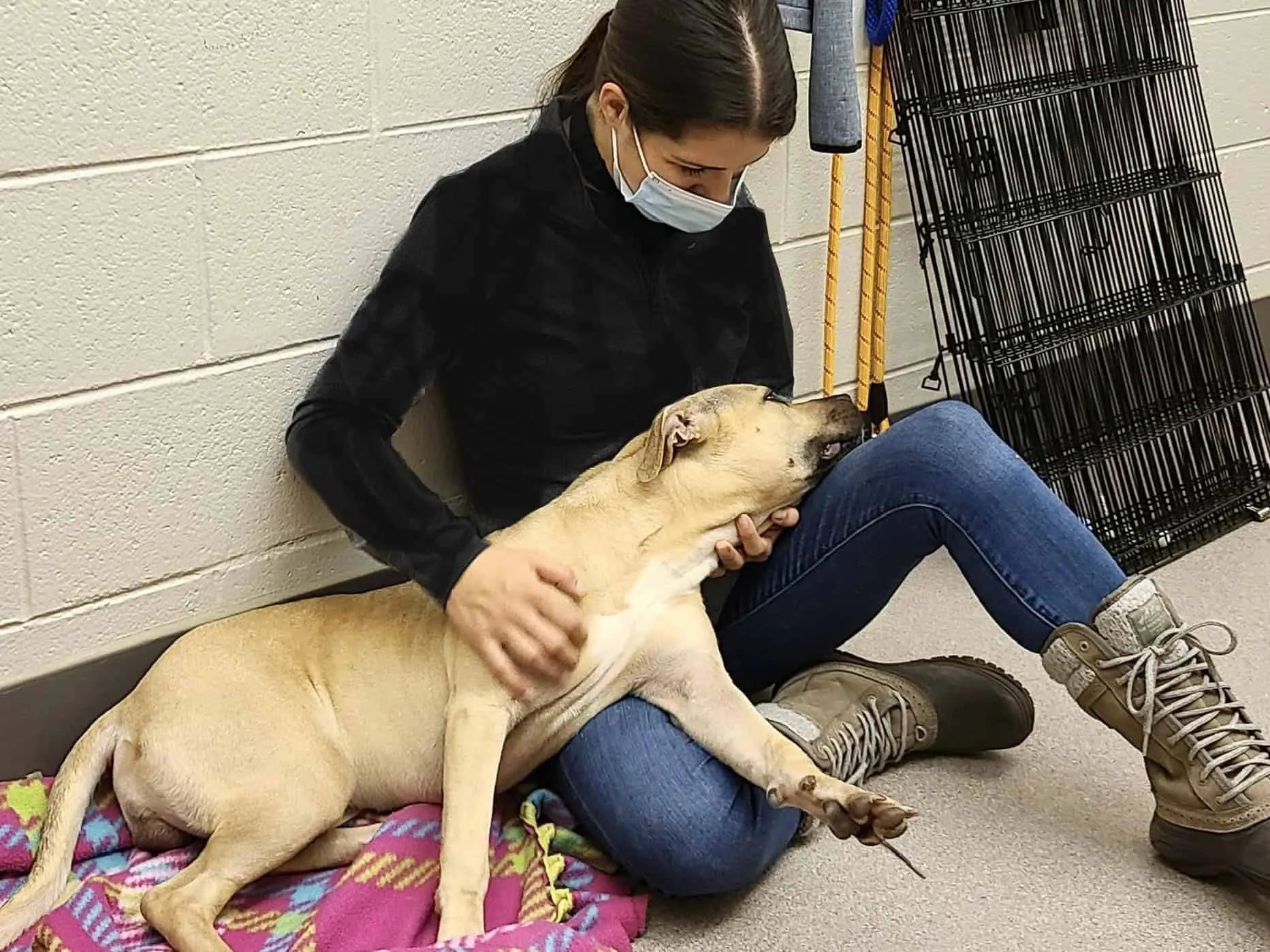 files/katelin-w-rescuedog-e1743987979667.webp
